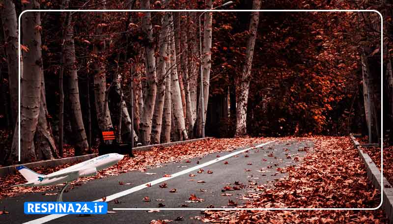 بلیط هواپیما کیش کرج , خرید بلیط هواپیما کیش کرج , خرید اینترنتی بلیط هواپیما کیش کرج بلیط هواپیما کیش کرج - رسپینا 24